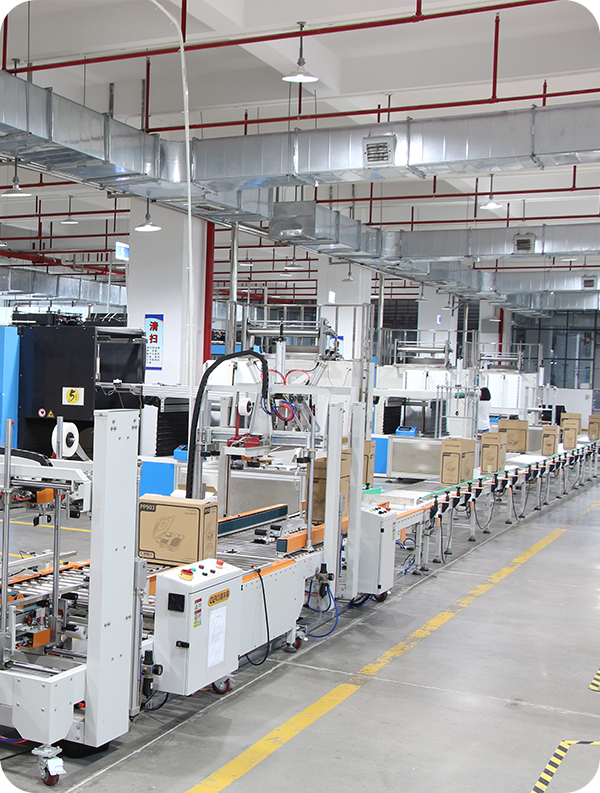 Auto Packaging Machine